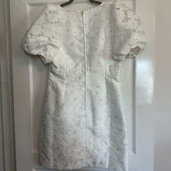 Lilly Pulitzer Citra Organza Dress - Picture 10 of 12